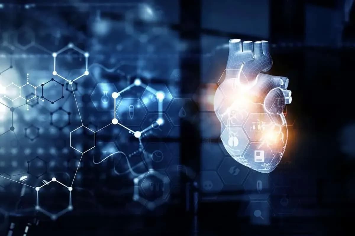 Cardiovascular Sciences
