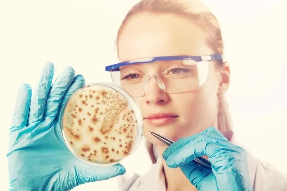 BSc Biological Sciences Cell and Molecular Biology