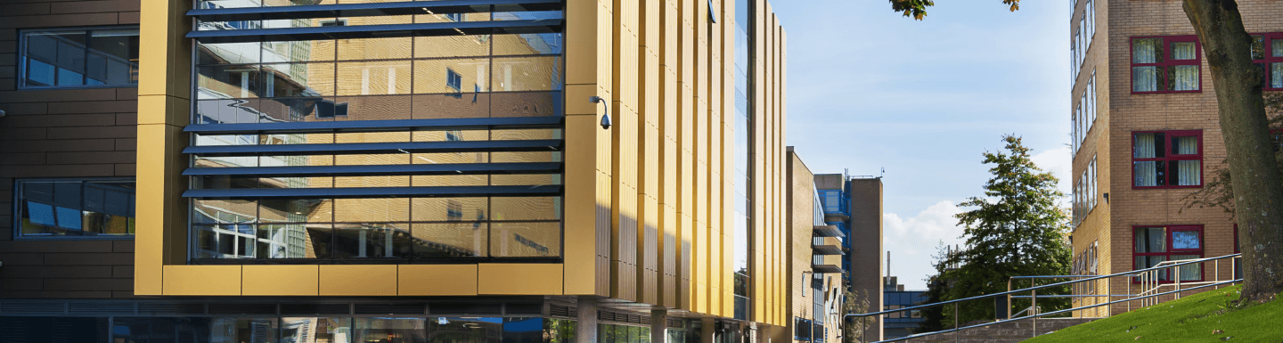University of Surrey