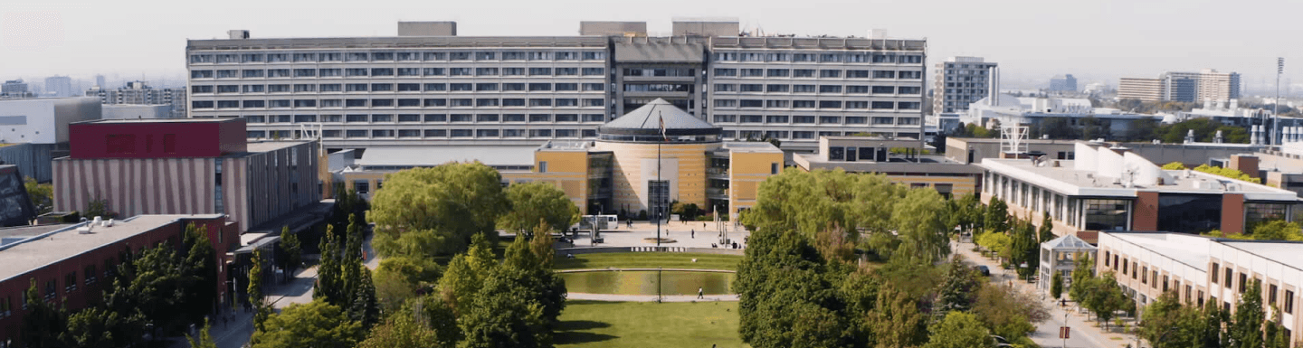 University of York