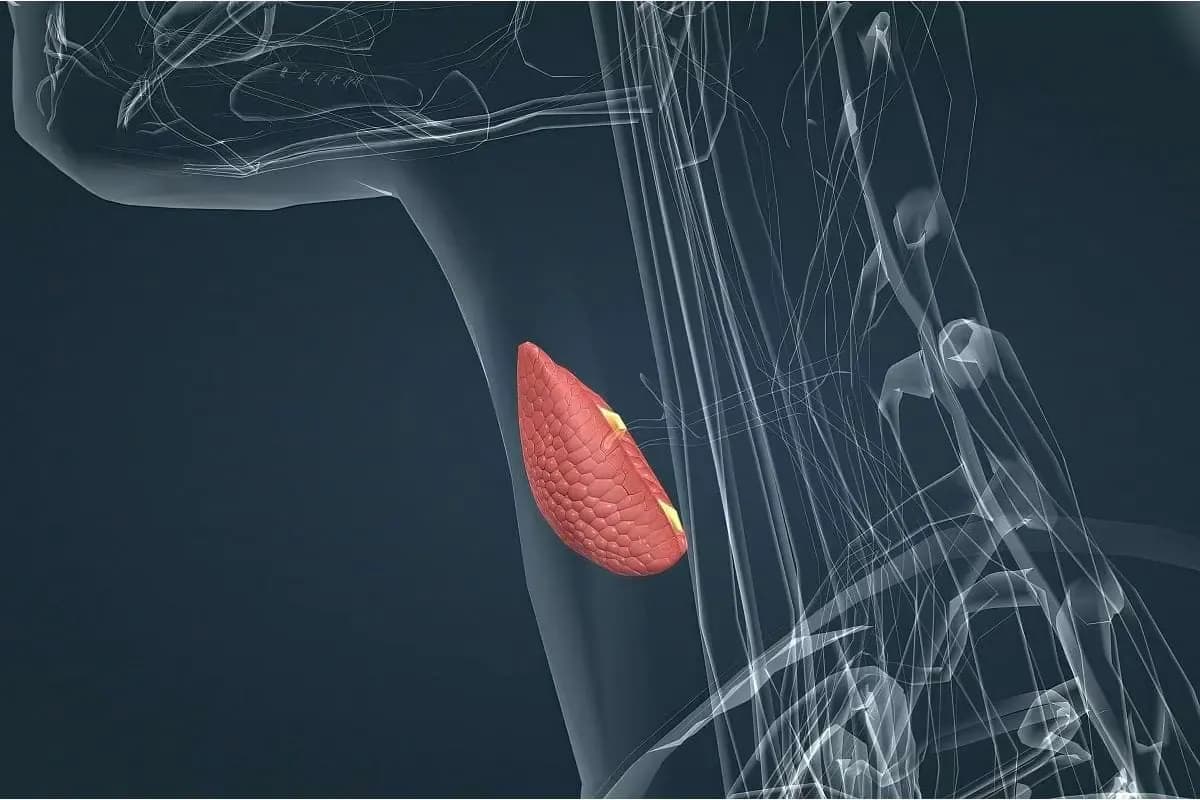 MSc in Diabetes and Endocrinology