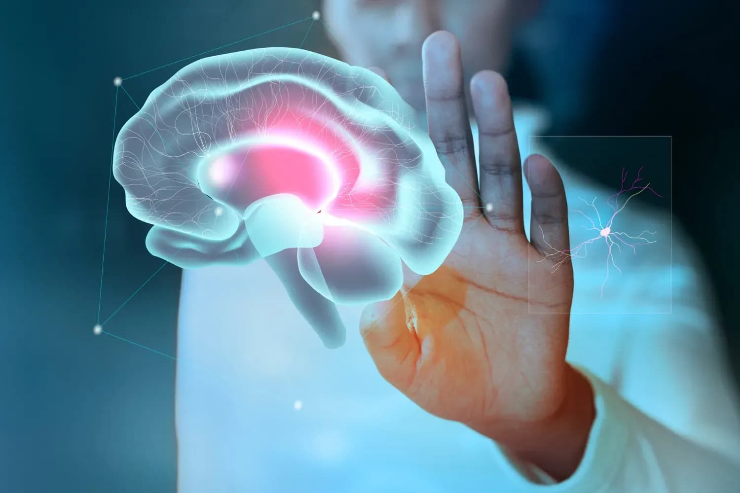 PhD Cognitive and Clinical Neuroscience