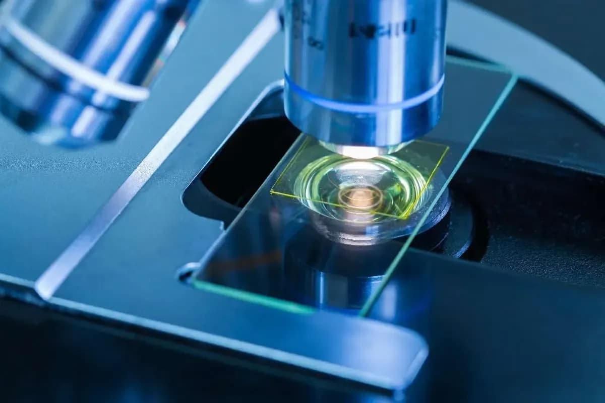 MSc in Stem Cell Technology and Regenerative Medicine
