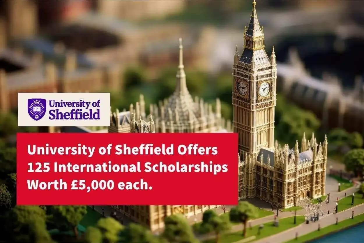 The University of Sheffield scholarship offers