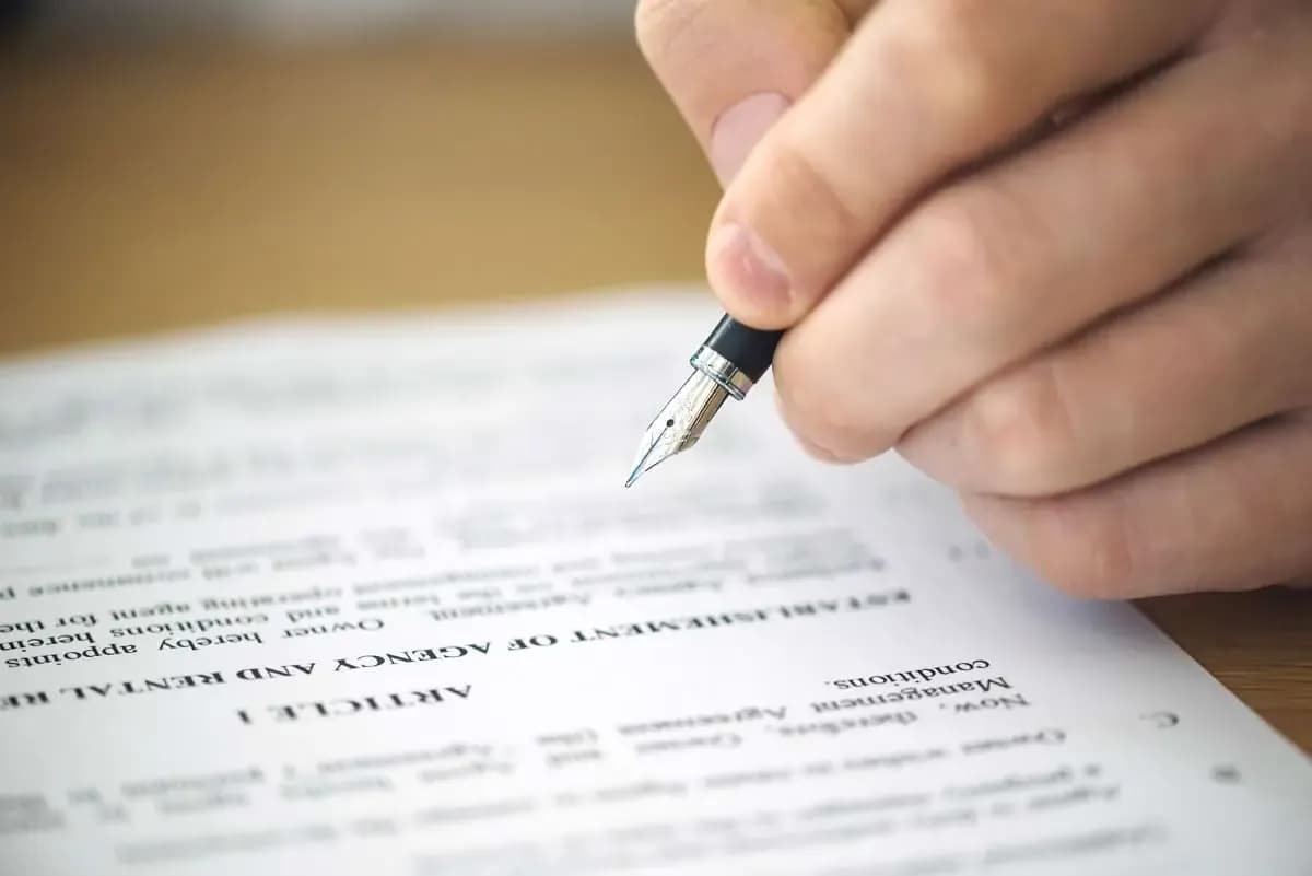 Standout Reference Letter
