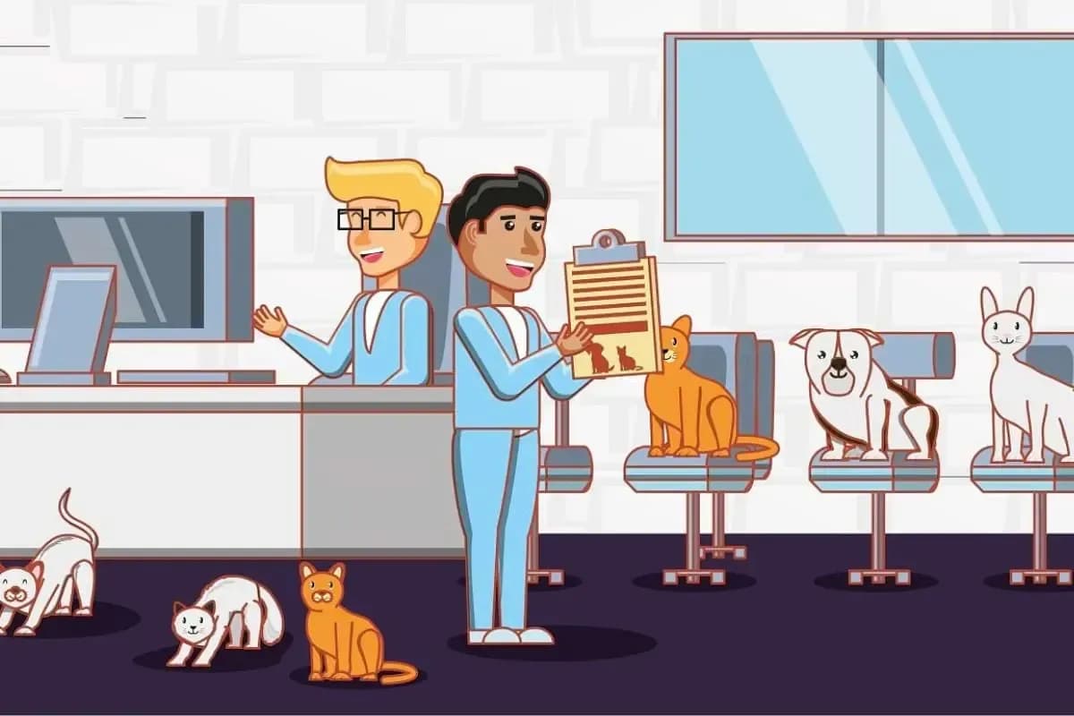 veterinary Medicine in UK Universities